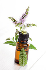 Image showing essential oil