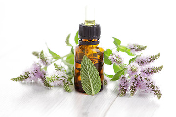 Image showing essential oil