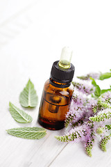 Image showing essential oil