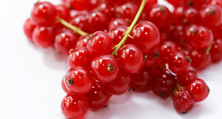 Image showing Red currant
