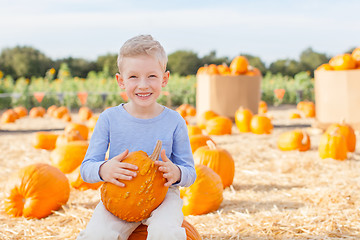 Image showing pumpkin patch