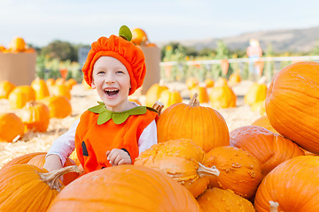 Image showing pumpkin patch