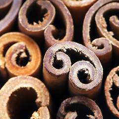 Image showing Cinnamon sticks