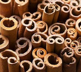 Image showing Cinnamon sticks