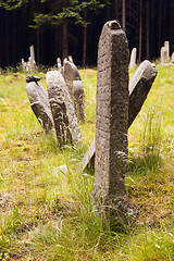 Image showing Old Jewish Cemetery