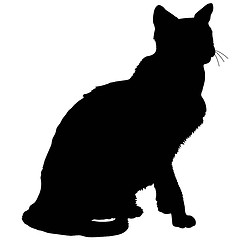 Image showing cat silhouette 4