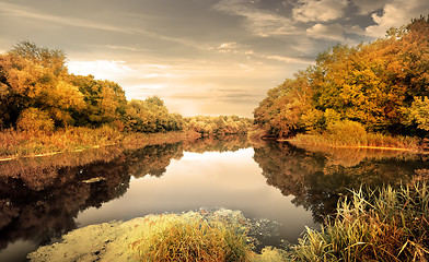 Image showing River in the autumn