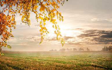 Image showing Morning in the autumn field