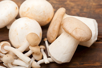 Image showing fresh wild mushrooms