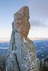 Image showing Conglomerate rock