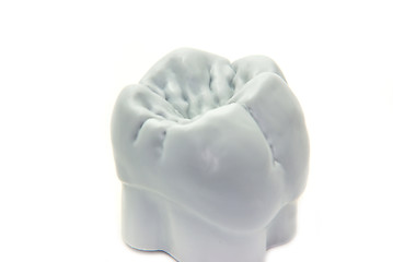 Image showing Teeth - molar