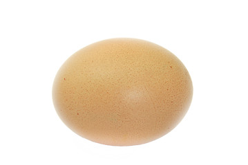 Image showing Egg