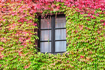 Image showing Window in an old traditional European country house