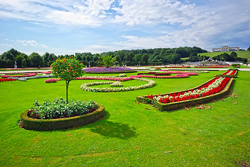 Image showing Schonbrunn gardens