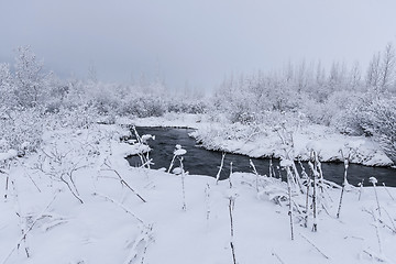 Image showing Beautiful snowsacpe