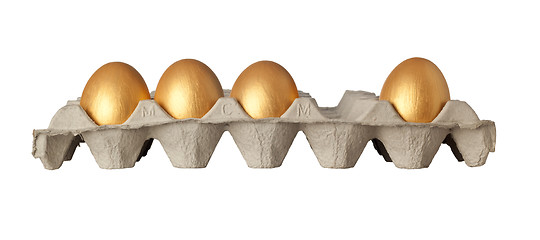 Image showing One golden egg stolen