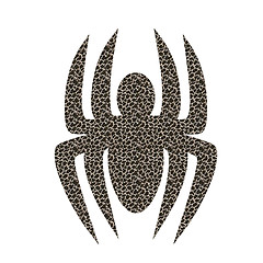 Image showing Spider