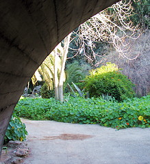 Image showing Bridge Nature. Nicosia. Cyprus