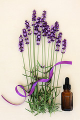 Image showing Lavender Flower Aromatherapy