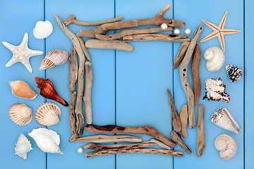 Image showing Shell and Driftwood Collage