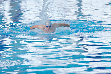 Image showing swimmer athlete