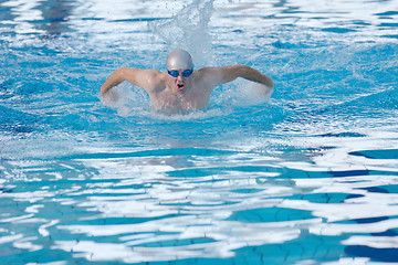 Image showing swimmer athlete