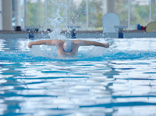 Image showing swimmer athlete