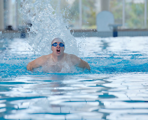 Image showing swimmer athlete