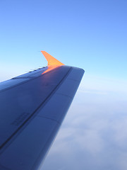 Image showing wing tip