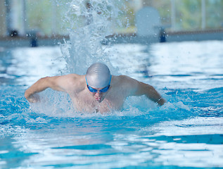 Image showing swimmer athlete