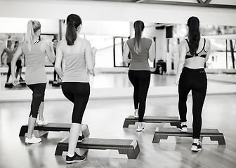 Image showing group of smiling people doing aerobics