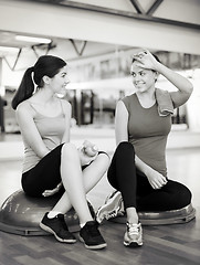 Image showing two smiling women sitting on the half balls