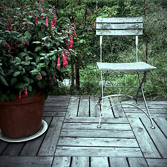 Image showing Red fuchsia and old wooden chair