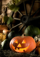 Image showing halloween