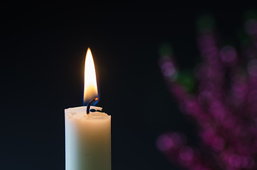 Image showing One burning candle at blurred heather