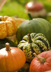 Image showing pumpkins