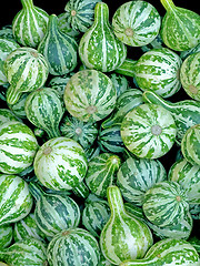 Image showing Green pumpkins