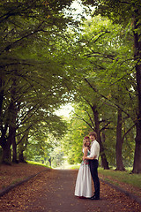 Image showing Beautiful wedding couple