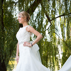 Image showing Portrait of beautiful bride.