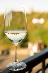 Image showing glass of white wine in an isolated background.