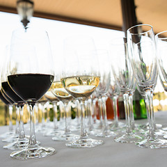 Image showing glasses of wine at the bar