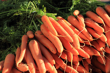 Image showing orange carrot vegetable background