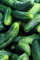 Image showing green cucumbers background