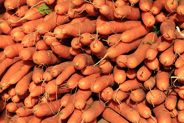 Image showing red carrot background