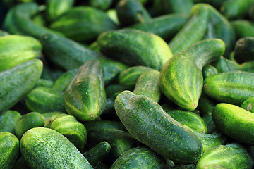 Image showing green cucumbers background