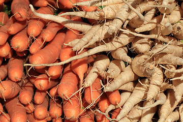 Image showing parsley and carrot as fresh farm vegetable 