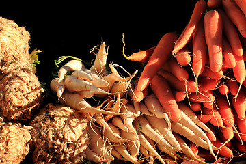 Image showing celery root,parsley, carrot