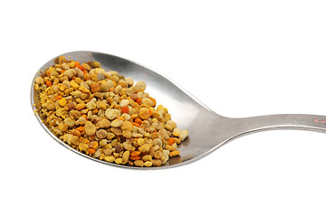 Image showing bee pollen 