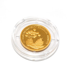 Image showing Gold coin