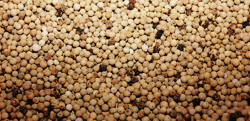 Image showing white pepper background